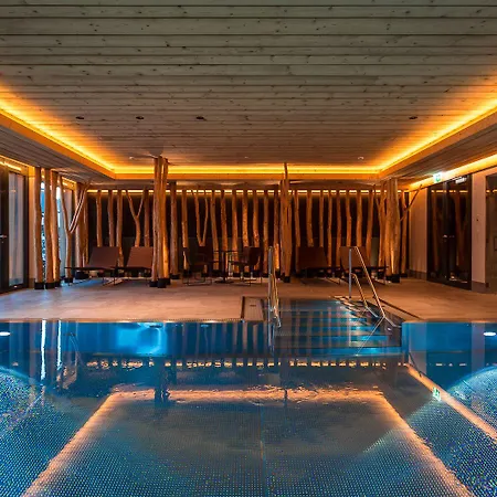 Otel Spitzhorn Superieur 3*
