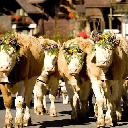 Hotel Spitzhorn Superieur 3*