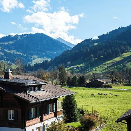 Spitzhorn Superieur 3* Gstaad