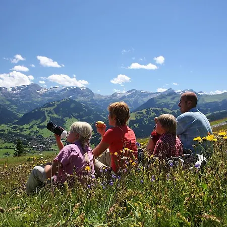 Otel Spitzhorn Superieur 3*