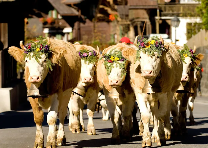 Hotel Spitzhorn Superieur 3*