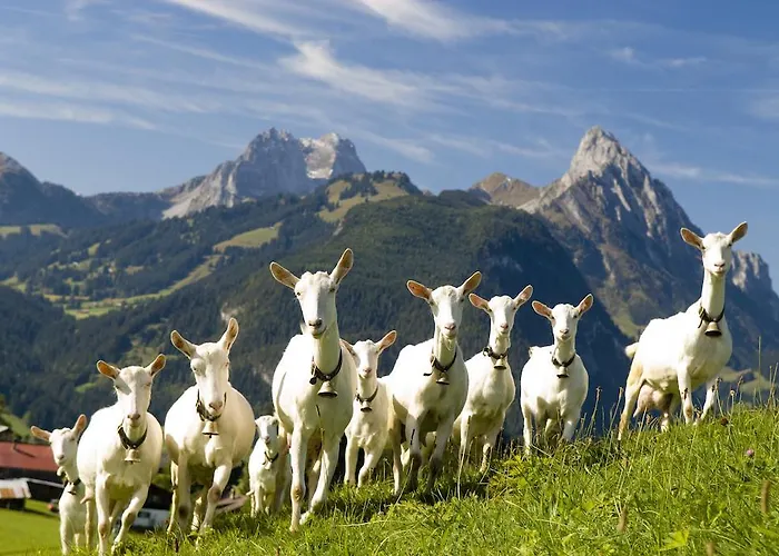 Spitzhorn Superieur 3*