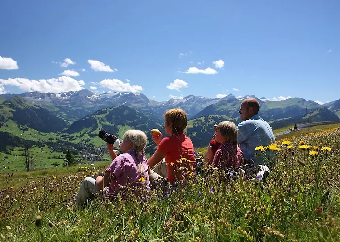 Hotel Spitzhorn Superieur 3*